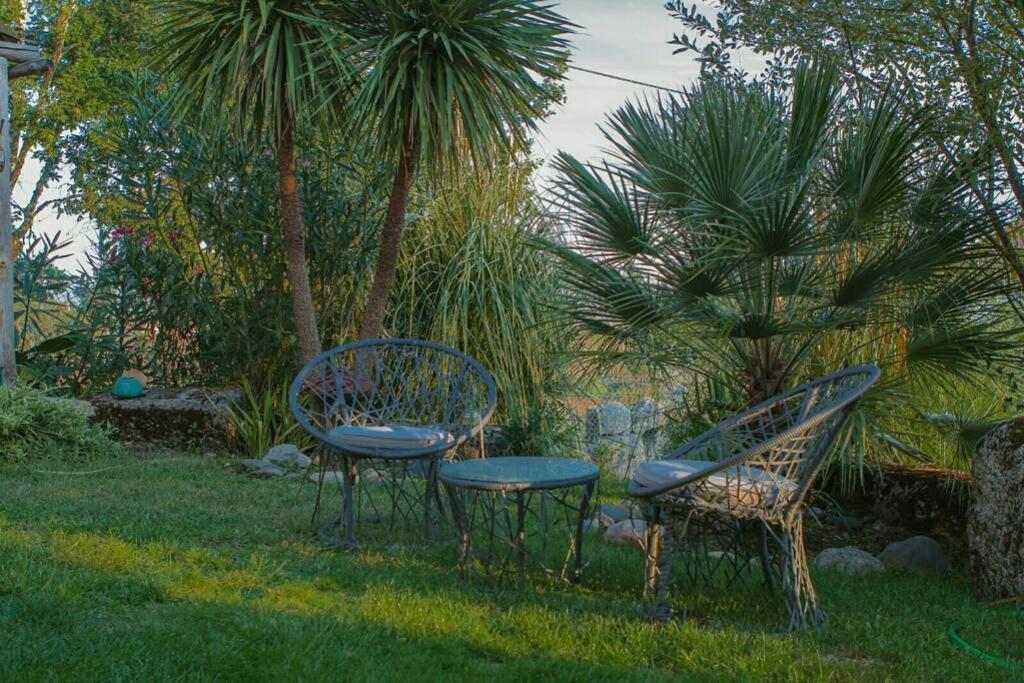 فيلا A Comfortable Rural Space In Beautiful Gardens أوليفيرا دو هوسبيتال المظهر الخارجي الصورة